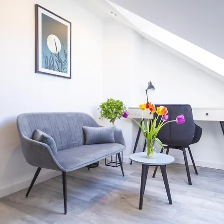 Wichrowe Wzgorza, Myweek 폴라니카-즈루이