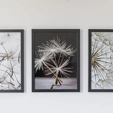 펜션 Wichrowe Wzgorza, Myweek 폴라니카-즈루이