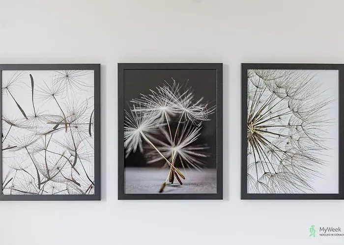 Ferienhaus Wichrowe Wzgorza, Myweek Bad Altheide